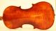 Old.  Violin School Of L.  Bisiach Geige Violon Violine Violino Viola Fiddle String photo 4