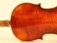 Old.  Violin School Of L.  Bisiach Geige Violon Violine Violino Viola Fiddle String photo 5