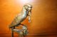 Rare Antique Bronze Parrot Macaw Pocket Watch Holder Stand Display France 1800,  S Metalware photo 5