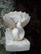 Rare 1800 ' S Belleek Seahorse Shell Vase / Sweetmeat Dish Figurines photo 2
