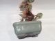 Vintage Chinese Jade Stone Tree With Celadon Basket,  One Chip On Leaf,  8 Inches Jade/ Hardstone photo 9