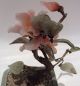 Vintage Chinese Jade Stone Tree With Celadon Basket,  One Chip On Leaf,  8 Inches Jade/ Hardstone photo 5