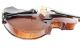 Nicolaus Amatus Fetis Cremona Violin Mop Inlay Pfretzschner Bow String photo 5