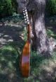 12 String Mandolin 1920 - Very Unusual Look Lute Guitar - Vintage Old Antique String photo 9