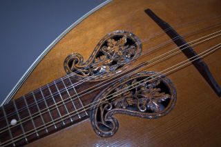 12 String Mandolin 1920 - Very Unusual Look Lute Guitar - Vintage Old Antique photo