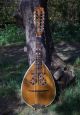 12 String Mandolin 1920 - Very Unusual Look Lute Guitar - Vintage Old Antique String photo 6