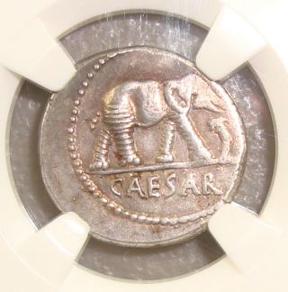 49 - 48 Bc Famed Elephant Denarius Of Julius Caesar Ancient Roman Silver Ngc Xf photo