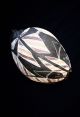 Finely Painted Aboriginal Baler Shell - Mana The Shark Arnhem Land 1970 ' S Pacific Islands & Oceania photo 1