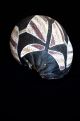 Finely Painted Aboriginal Baler Shell - Mana The Shark Arnhem Land 1970 ' S Pacific Islands & Oceania photo 5