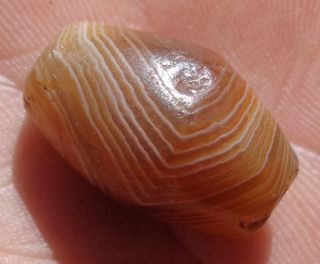 21mm Antique Rare Banded Western Asian Agate Bead Pakistan Afghanistan photo