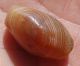 21mm Antique Rare Banded Western Asian Agate Bead Pakistan Afghanistan Near Eastern photo 5