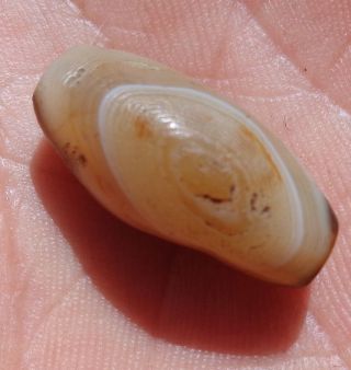 23mm Antique Rare Banded Western Asian Agate Bead Pakistan Afghanistan photo