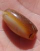 23mm Antique Rare Banded Western Asian Agate Bead Pakistan Afghanistan Near Eastern photo 3