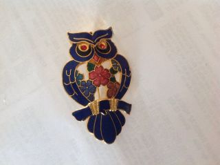 ' Beach Finds ' A.  Colourful ' Owl ' Brooch photo