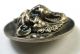 Antique Button Detailed Snarling Tiger Design - Brass On Metal Disc 1 & 1/16 