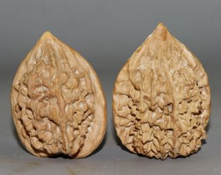 A Ancient Chinese Hand - Carved Walnut photo