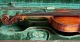 A Very Fine Rare Old Italian Or French Violin By Maggini Or J.  B Vuillaume String photo 7