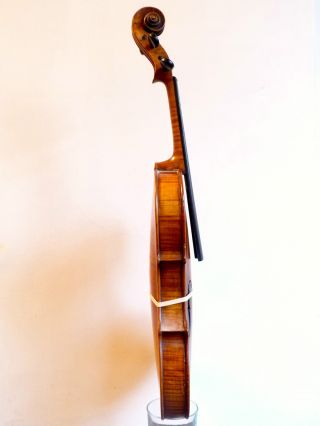 Antique Old Violin,  Maggini Brescian Model With Double Purfling photo