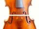 Antique Old Violin,  Maggini Brescian Model With Double Purfling String photo 3