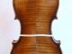 Antique Old Violin,  Maggini Brescian Model With Double Purfling String photo 8