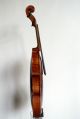 Antique Old Violin,  Fine Violin By Ladislav F.  Prokop 1907, String photo 1