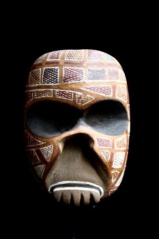 Exceptional Wooden Aboriginal Mortuary Skull 1963 photo