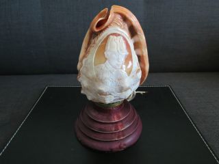 Victorian Carved Cameo Shell Table Lamp photo