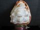 Victorian Carved Cameo Shell Table Lamp Lamps photo 2