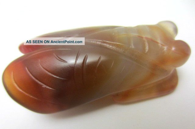 Old Chinese Ancient Neolithic Hongshan Jade Hand - Carved Cicada Amulet Pendant Necklaces & Pendants photo
