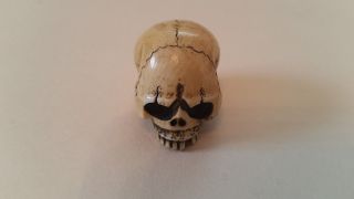 Antique Netsuke Skull - Fine Details photo