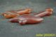 China Handwork Rare Jade Carving Pair Dragon Hand Shank Axe Pendant Necklaces & Pendants photo 5