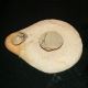 Ancient Roman Clay Oil Lamp Fine,  One Spout. Roman photo 2