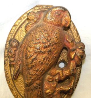 Old Antique Figural Cast Iron Parrot Bird Door Knocker photo
