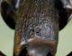 Antique Solid Bronze Schnauzer Or Airedale Terrier Dog Head Figural Doorknocker Door Bells & Knockers photo 8