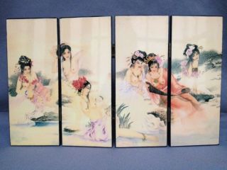 Traditional Chinese Painting Art Screen - Beauty Diagram photo