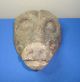 Old Hand Carved Natural Wood Boar ' S Head Mask/totem Other photo 9