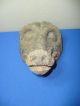 Old Hand Carved Natural Wood Boar ' S Head Mask/totem Other photo 2
