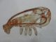 Colorful Antique American Folk Art Silhouette Lobster Trade Sign Wood Carving Primitives photo 6