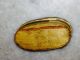 Antique 1800 ' S William Wright ' S Vegetable Medical Pills Purgative Box Container Other photo 2