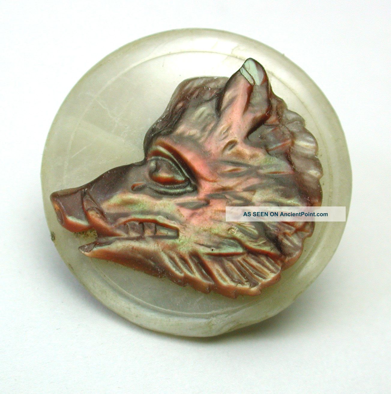 Antique Carved Iridescent Shell Button Detailed Wild Boar Design Buttons photo