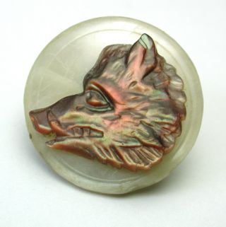 Antique Carved Iridescent Shell Button Detailed Wild Boar Design photo