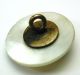 Antique Carved Iridescent Shell Button Detailed Wild Boar Design Buttons photo 1