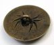 Antique Stamped Brass Button Spider In Web Design Buttons photo 2