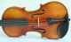 Interesting 4/4 Violin Labeled Pistucci 1958 Geige Violon Violino Violine Viola String photo 2