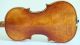 Interesting 4/4 Violin Labeled Pistucci 1958 Geige Violon Violino Violine Viola String photo 3