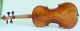 Interesting 4/4 Violin Labeled Pistucci 1958 Geige Violon Violino Violine Viola String photo 4