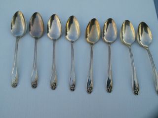 8 - 1847 Rogers Bros.  Daffodil Silverplate Soup Spoons photo