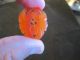 Chinese Orange Striped Agate Carving Bat On Lotus Blossom Detailed Buttons photo 3