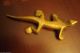 Bronze Unmarked Trivet And Geico/salamander,  Trivet Is Around 6 