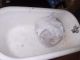 Rare Luxurious Vintage Antique 40 ' S Cast Iron Bathtub Eagle Claw Ball Feet Bath Tubs photo 1